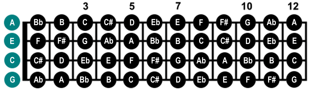 Ukulele String Notes Chart